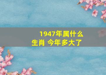 1947年属什么生肖 今年多大了